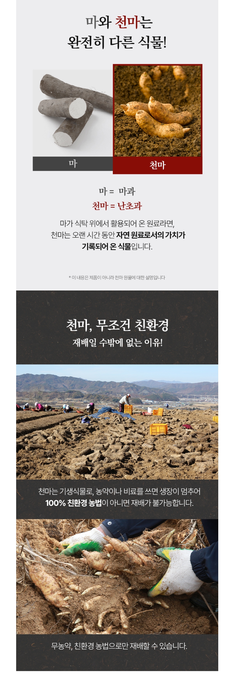 천마니 발효흑천마 상세페이지 7.jpg